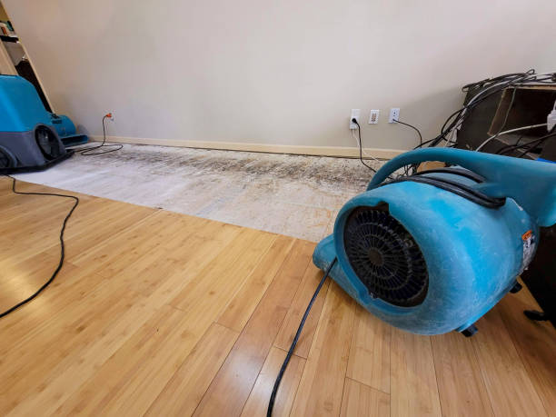 Professional Water Removal technician working in Wesley Chapel, FL